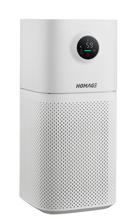 Air Purifier For Medium Room